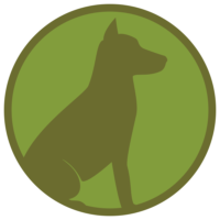 dog dog