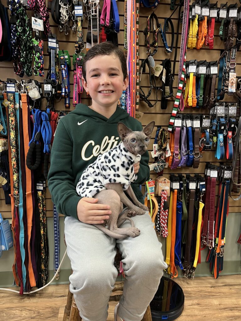 A boy in a Celtics hoodie sits on a stool holding a Sphynx cat in a spotted sweater in a pet store with leashes on the wall.